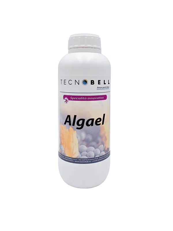 Algael