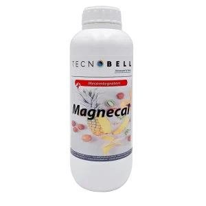 Magnecal